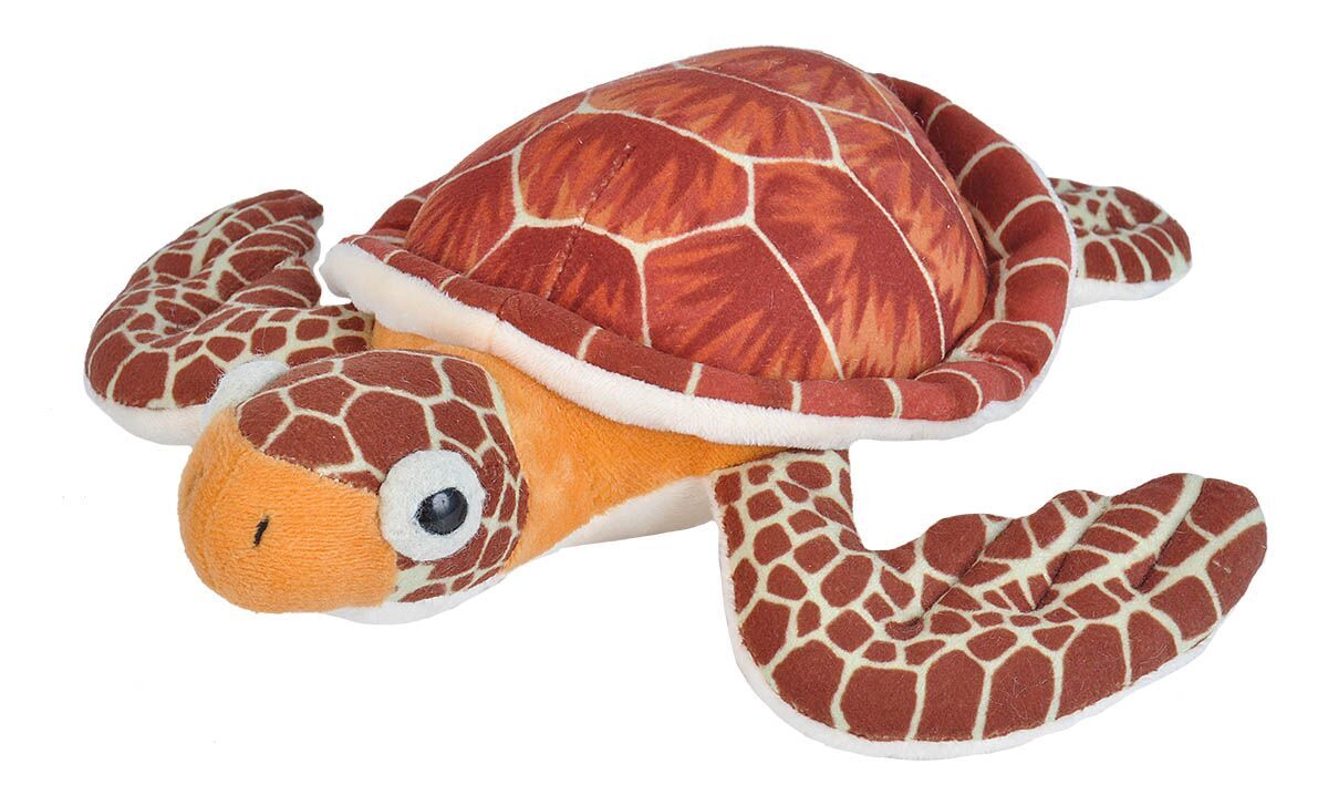 PELUCHE TORTUE VERTE MINI